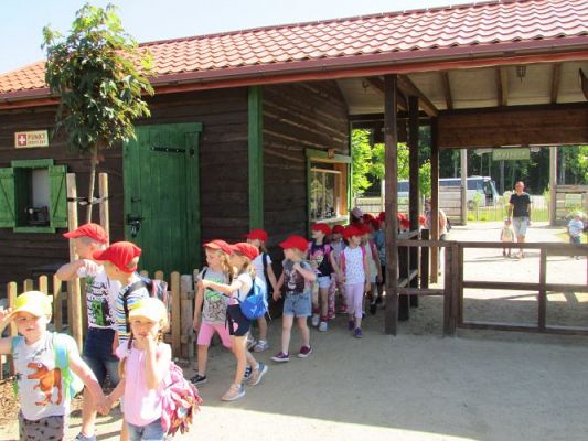 Grafika #14: 11.06.2021 Wycieczka do Farmy Alexa cz.I