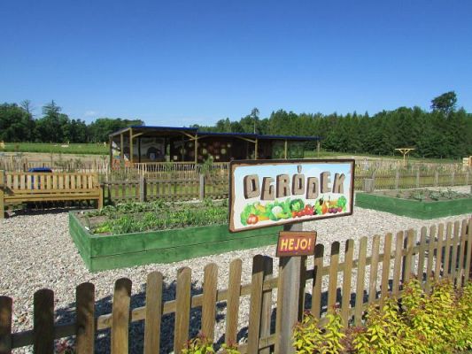 Grafika #16: 11.06.2021 Wycieczka do Farmy Alexa cz.I