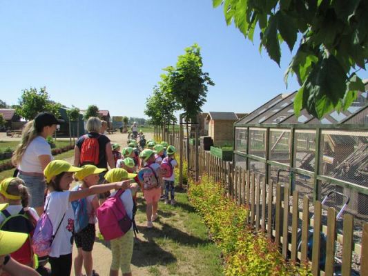 Grafika #19: 11.06.2021 Wycieczka do Farmy Alexa cz.I