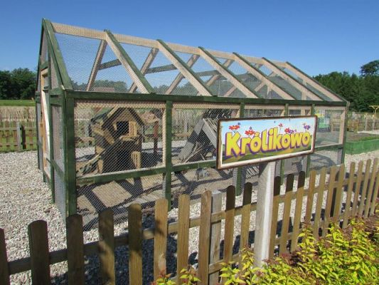 Grafika #20: 11.06.2021 Wycieczka do Farmy Alexa cz.I