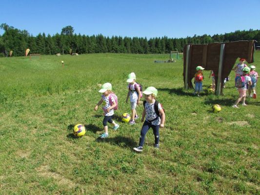 Grafika #32: 11.06.2021 Wycieczka do Farmy Alexa cz.I