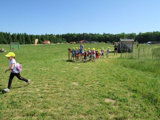 Grafika #38: 11.06.2021 Wycieczka do Farmy Alexa cz.I