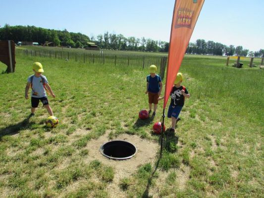 Grafika #39: 11.06.2021 Wycieczka do Farmy Alexa cz.I