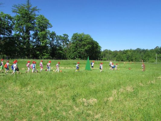 Grafika #41: 11.06.2021 Wycieczka do Farmy Alexa cz.I