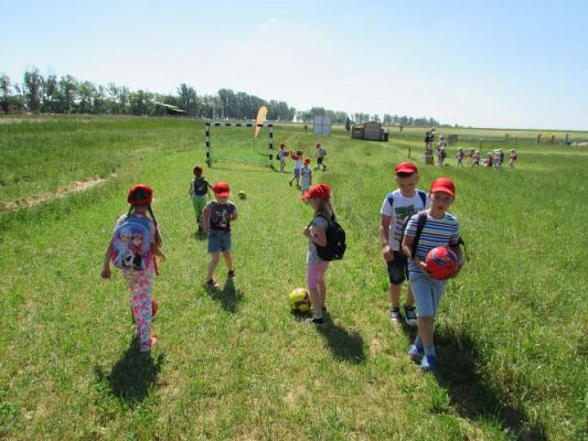 Grafika #45: 11.06.2021 Wycieczka do Farmy Alexa cz.I