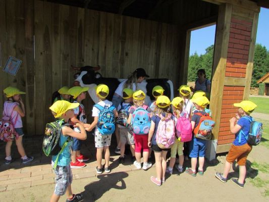 Grafika #65: 11.06.2021 Wycieczka do Farmy Alexa cz.I