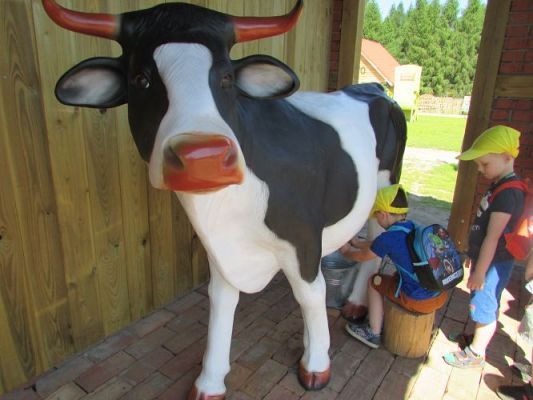 Grafika #66: 11.06.2021 Wycieczka do Farmy Alexa cz.I