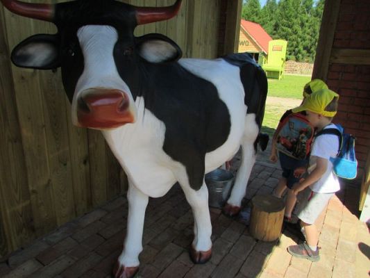 Grafika #67: 11.06.2021 Wycieczka do Farmy Alexa cz.I