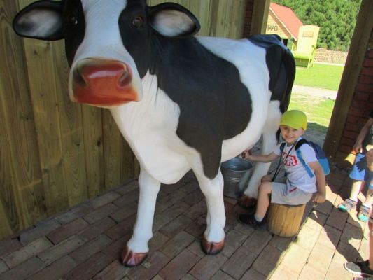 Grafika #68: 11.06.2021 Wycieczka do Farmy Alexa cz.I