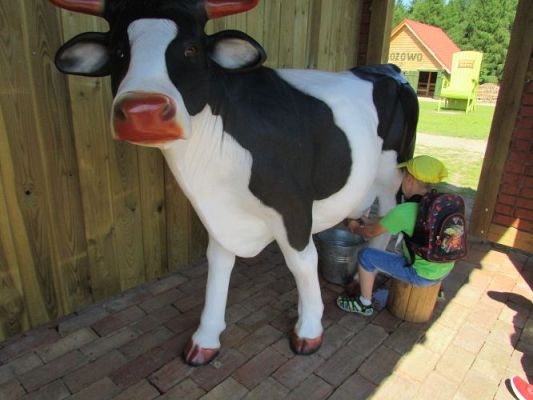 Grafika #70: 11.06.2021 Wycieczka do Farmy Alexa cz.I