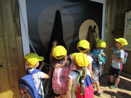 Grafika #71: 11.06.2021 Wycieczka do Farmy Alexa cz.I