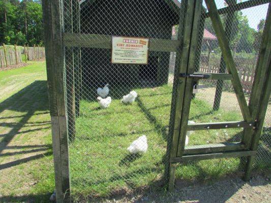 Grafika #74: 11.06.2021 Wycieczka do Farmy Alexa cz.I