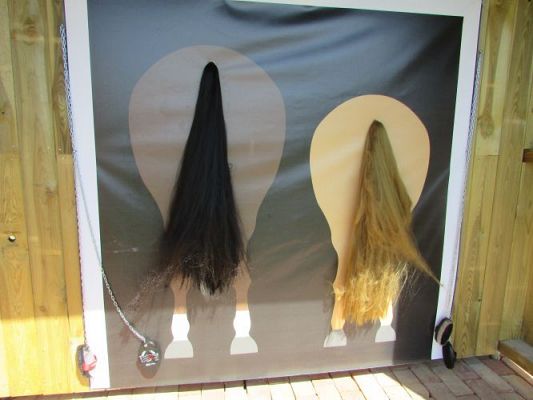 Grafika #75: 11.06.2021 Wycieczka do Farmy Alexa cz.I