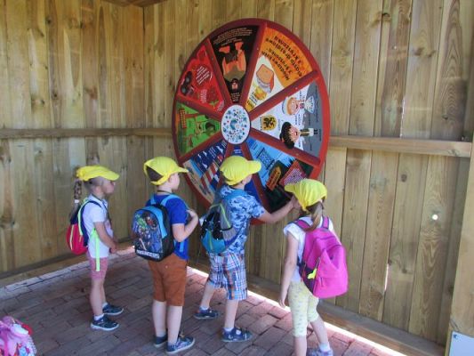 Grafika #76: 11.06.2021 Wycieczka do Farmy Alexa cz.I