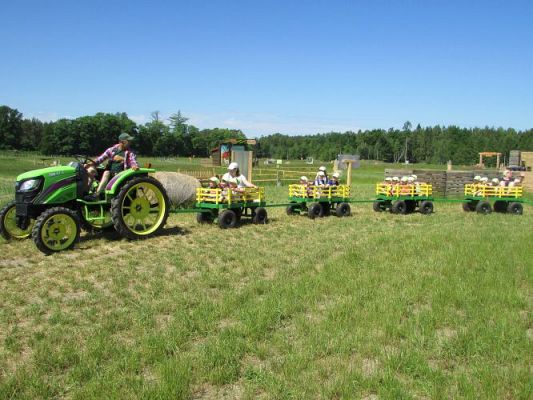 Grafika #91: 11.06.2021 Wycieczka do Farmy Alexa cz.I