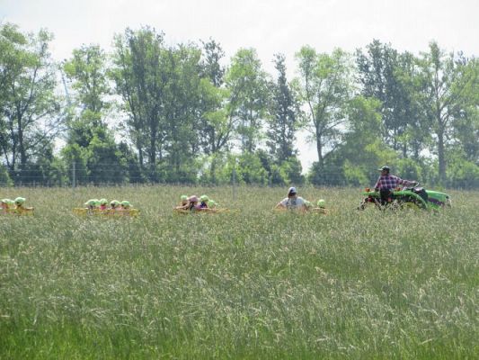 Grafika #94: 11.06.2021 Wycieczka do Farmy Alexa cz.I