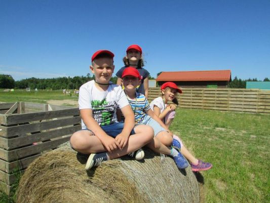 Grafika #95: 11.06.2021 Wycieczka do Farmy Alexa cz.I