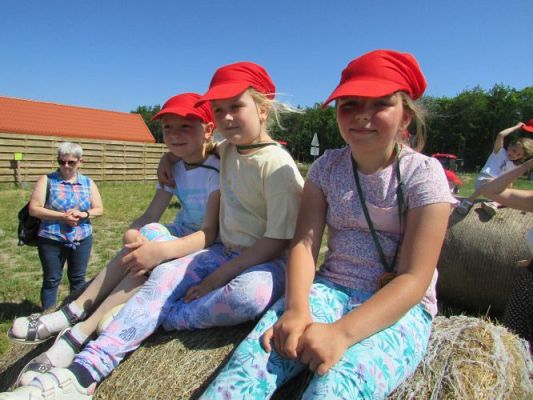 Grafika #96: 11.06.2021 Wycieczka do Farmy Alexa cz.I