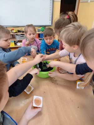 Grafika #7: 19.03.2021 Hodowla roślin w gr III