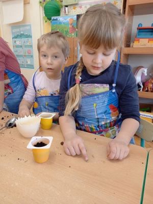 Grafika #13: 19.03.2021 Hodowla roślin w gr III