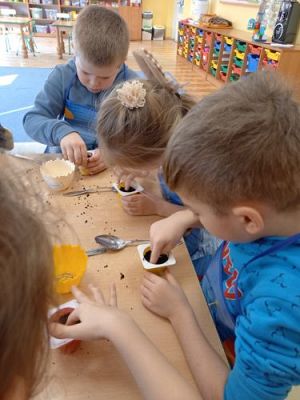 Grafika #17: 19.03.2021 Hodowla roślin w gr III