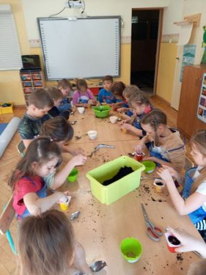 Grafika #18: 19.03.2021 Hodowla roślin w gr III