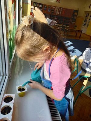 Grafika #26: 19.03.2021 Hodowla roślin w gr III