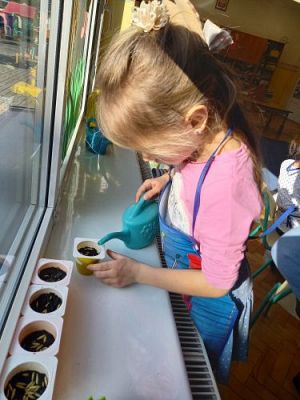 Grafika #27: 19.03.2021 Hodowla roślin w gr III