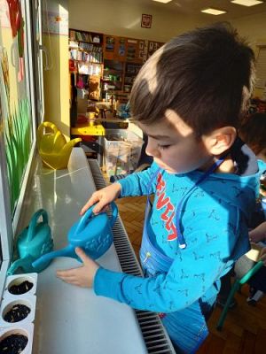 Grafika #28: 19.03.2021 Hodowla roślin w gr III