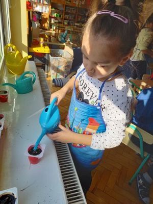 Grafika #35: 19.03.2021 Hodowla roślin w gr III