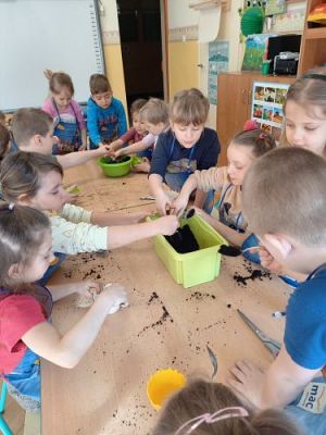 Grafika #36: 19.03.2021 Hodowla roślin w gr III