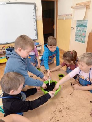 Grafika #37: 19.03.2021 Hodowla roślin w gr III