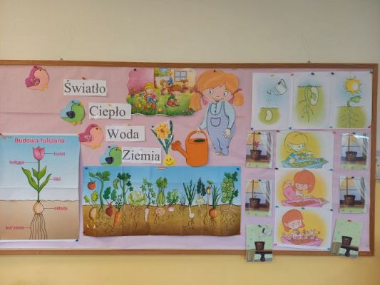 Grafika #45: 19.03.2021 Hodowla roślin w gr III