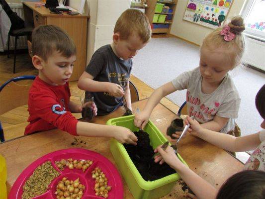 Grafika #4: 19.03.2021 Zajęcia z cyklu "Mali odkrywcy i badacze poznają świat" - Hodowla roślin