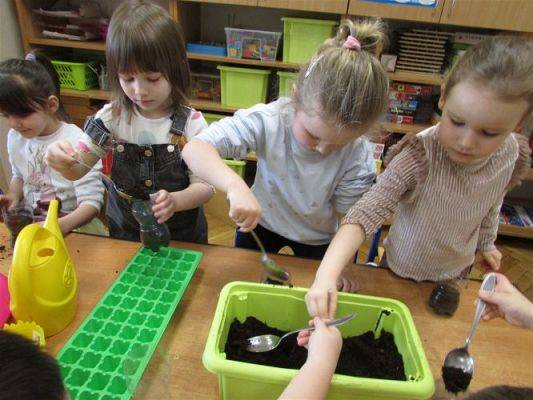 Grafika #7: 19.03.2021 Zajęcia z cyklu "Mali odkrywcy i badacze poznają świat" - Hodowla roślin