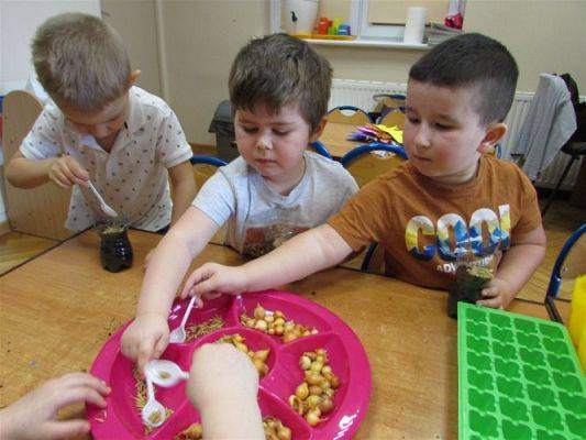 Grafika #10: 19.03.2021 Zajęcia z cyklu "Mali odkrywcy i badacze poznają świat" - Hodowla roślin