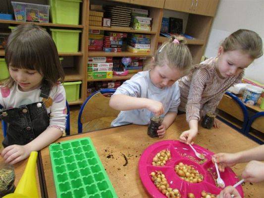 Grafika #11: 19.03.2021 Zajęcia z cyklu "Mali odkrywcy i badacze poznają świat" - Hodowla roślin