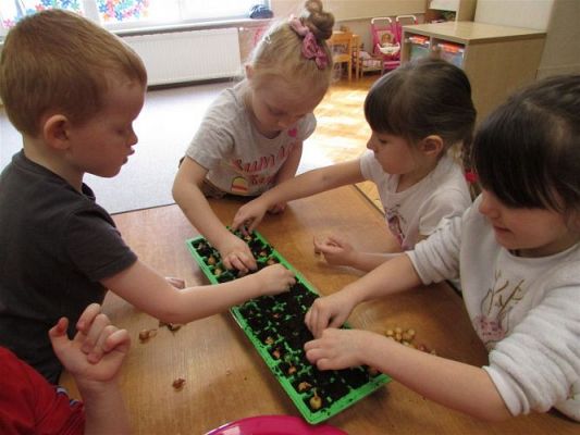 Grafika #19: 19.03.2021 Zajęcia z cyklu "Mali odkrywcy i badacze poznają świat" - Hodowla roślin