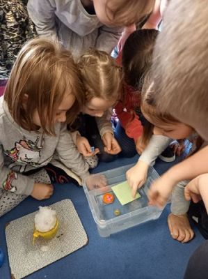 Grafika #3: 26.02.2021 KLUB MAŁEGO ODKRYWCY Starszaki Co pływa?