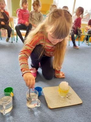 Grafika #5: 26.02.2021 KLUB MAŁEGO ODKRYWCY Starszaki Co pływa?