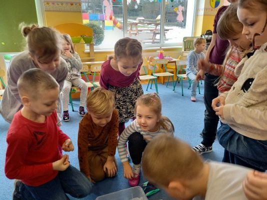 Grafika #7: 26.02.2021 KLUB MAŁEGO ODKRYWCY Starszaki Co pływa?