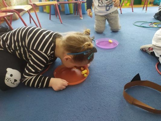 Grafika #14: 17.02.2021 Dzień kota w gr I