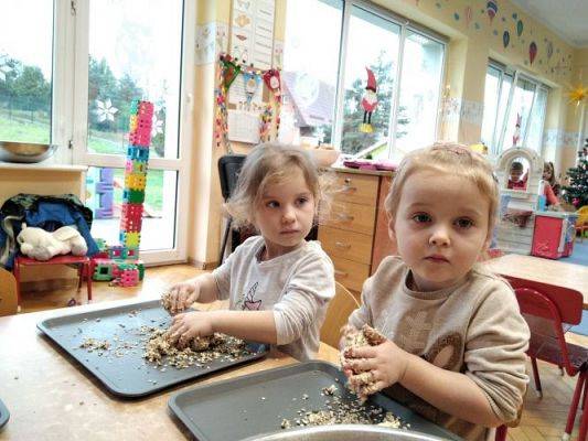 Grafika #0: 18.12.2020 Robimy pokarm dla ptaków gr I