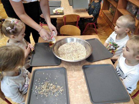 Grafika #1: 18.12.2020 Robimy pokarm dla ptaków gr I