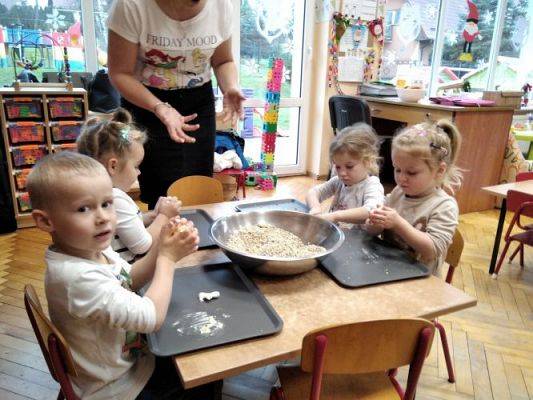 Grafika #6: 18.12.2020 Robimy pokarm dla ptaków gr I