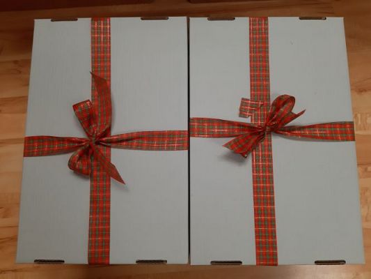 Grafika #16: 17.12.2020 Prezenty dla podopiecznych DPS nr 2 w Lęborku