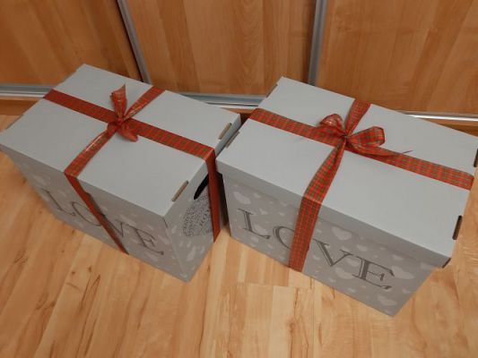 Grafika #17: 17.12.2020 Prezenty dla podopiecznych DPS nr 2 w Lęborku