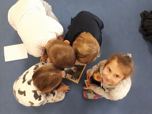 Grafika #5: 25.11.2020 Dzień Misia