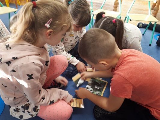 Grafika #8: 25.11.2020 Dzień Misia