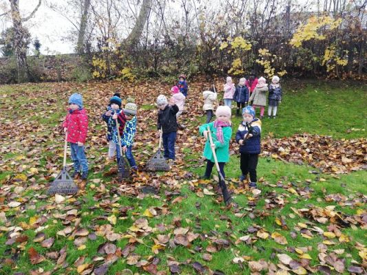 Grafika #2: Gr II Jesienne Porządki